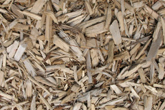 biomass boilers Pant Iasau