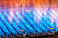 Pant Iasau gas fired boilers
